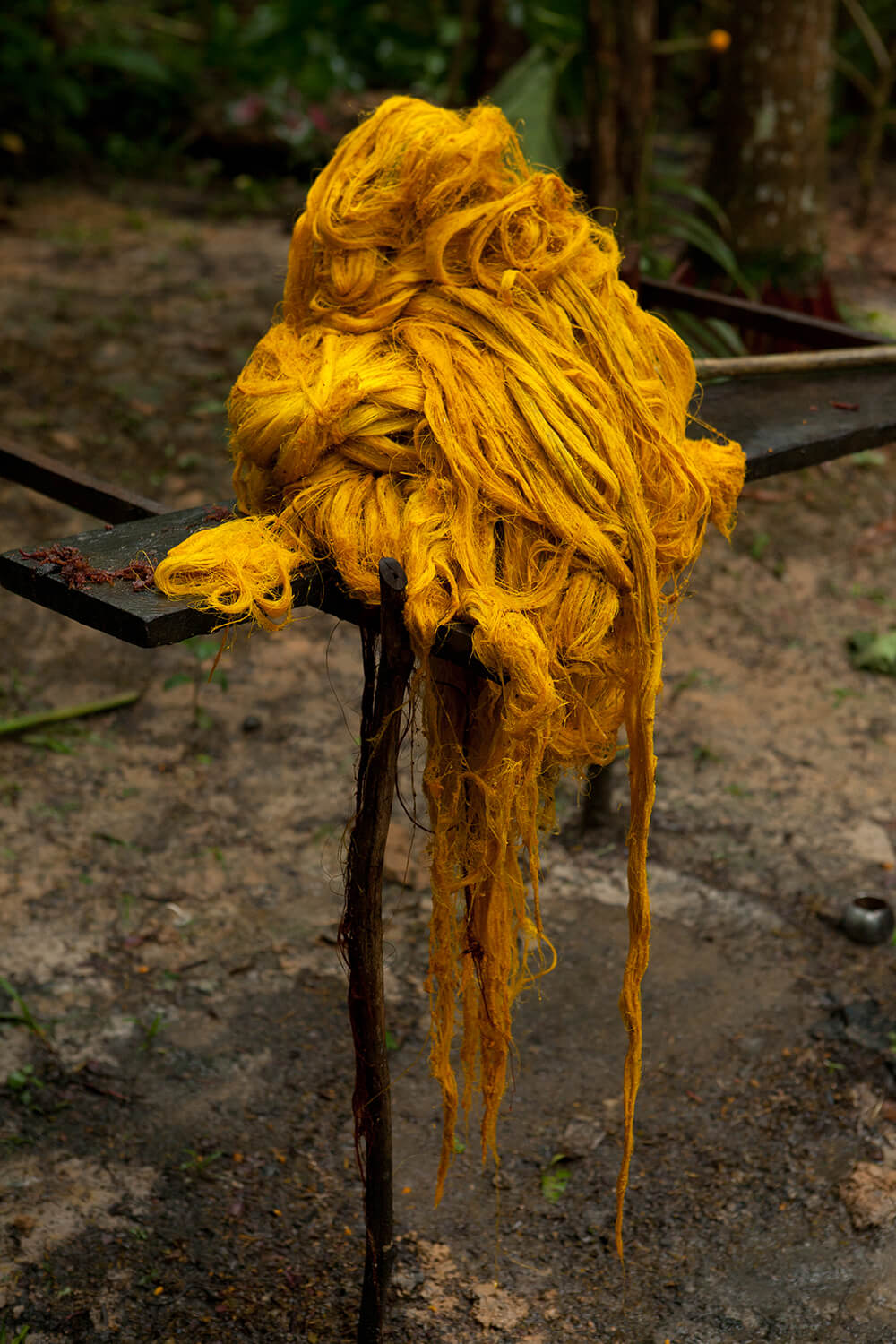 CURCUMA_galeria 33_MG_6113.jpg